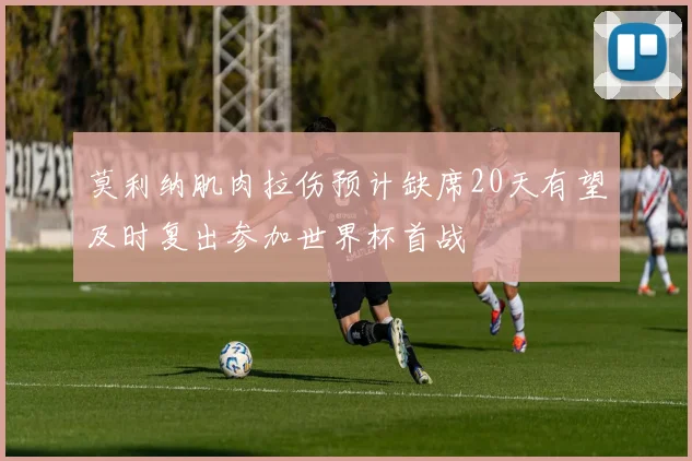 莫利纳肌肉拉伤预计缺席20天有望及时复出参加世界杯首战