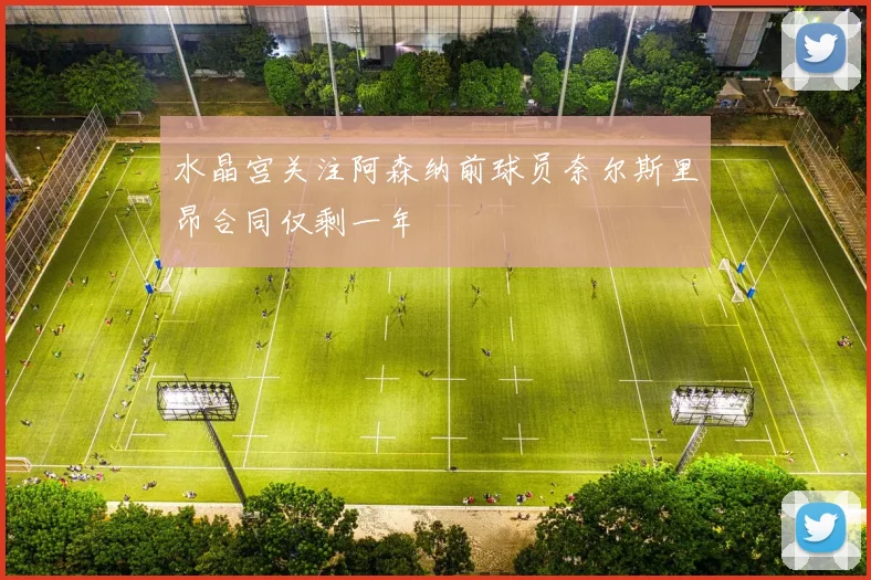 水晶宫关注阿森纳前球员奈尔斯里昂合同仅剩一年